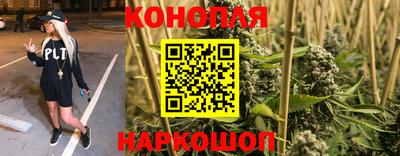 прущие крисы Брянск