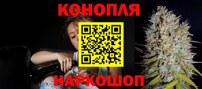 прущие крисы Брянск
