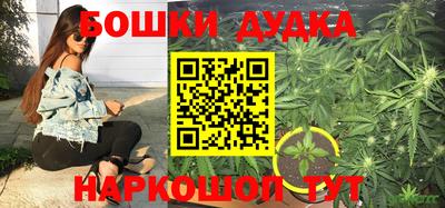 прущие крисы Брянск