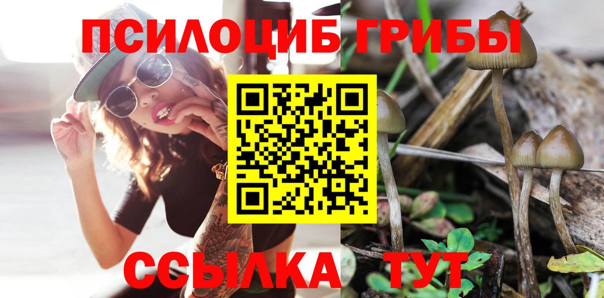 Туймазы  Псилоцибиновые грибы прущие грибы  Вход с VPN 